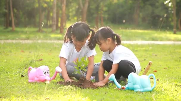 Menina Bonito Ásia Plantar Árvore Jovem Solo Preto Parque Que — Vídeo de Stock