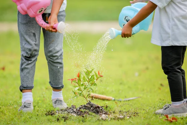 Gadis Kecil Lucu Asia Waterring Tanaman Yang Telah Ditanam Kebun — Stok Foto