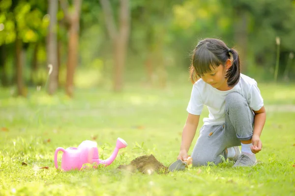 Gadis Kecil Lucu Asia Menanam Pohon Muda Tanah Hitam Park — Stok Foto