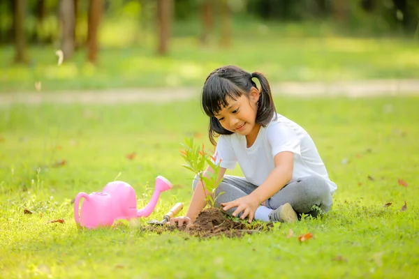 Gadis Kecil Lucu Asia Menanam Pohon Muda Tanah Hitam Park — Stok Foto