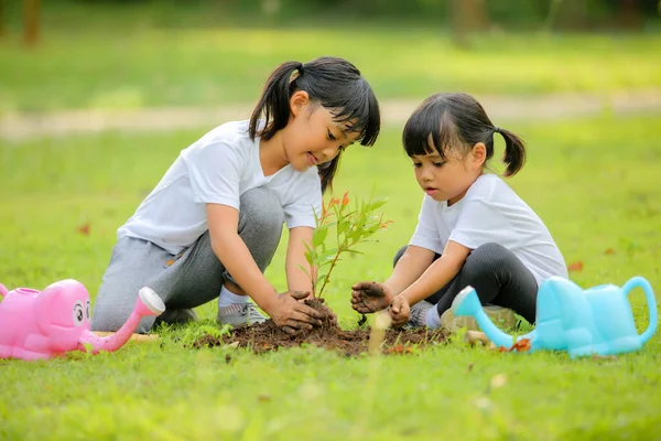 Gadis Kecil Lucu Asia Menanam Pohon Muda Tanah Hitam Park — Stok Foto