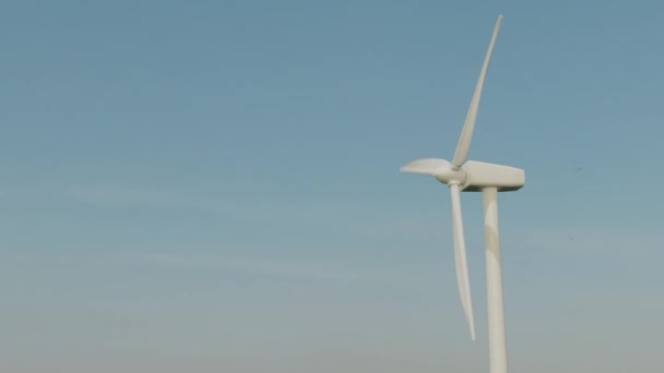 3D渲染 草坪上的风力发电厂或风电场是最清洁 可再生能源之一 带有用于发电的高风力涡轮机 绿色能源概念 — 图库视频影像