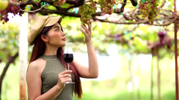 Wanita Cantik Menarik Gaya Rambut Panjang Minum Segelas Anggur Merah — Stok Video