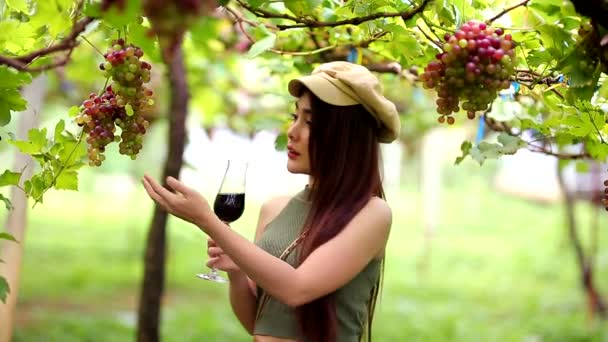 Mulheres Bonitas Atraente Elegante Longo Cabelo Beber Copo Vinho Tinto — Vídeo de Stock