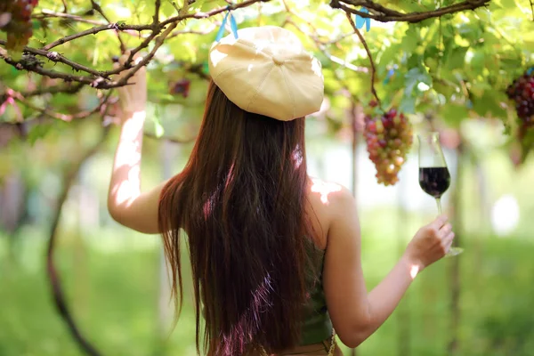 Mulheres Bonitas Atraente Elegante Longo Cabelo Beber Copo Vinho Tinto — Fotografia de Stock