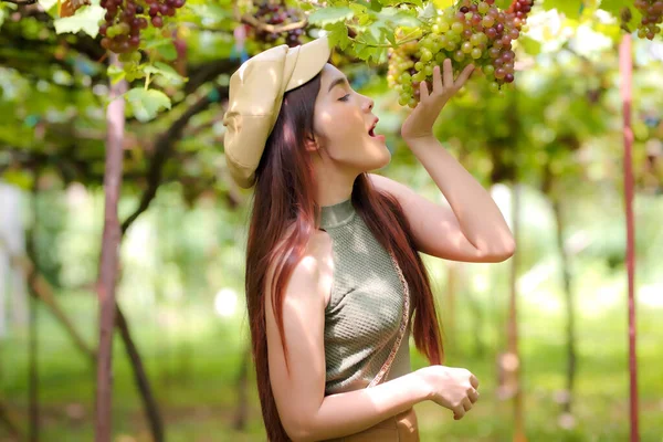 Mulheres Bonitas Atraente Elegante Cabelo Longo Sendo Feliz Divertindo Vinha — Fotografia de Stock