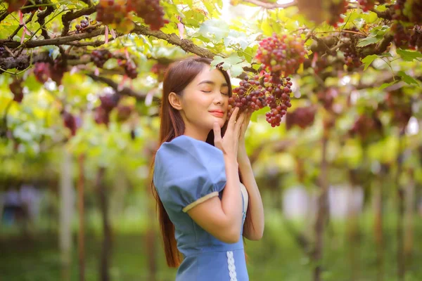 Hermosas Mujeres Atractivo Elegante Pelo Largo Siendo Feliz Divertirse Viñedo — Foto de Stock