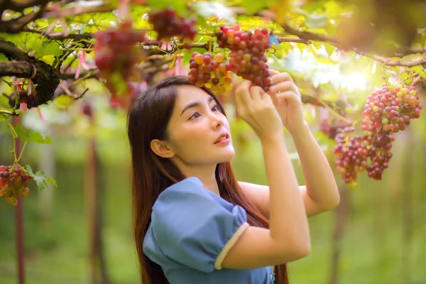 Mulheres Bonitas Atraente Elegante Cabelo Longo Sendo Feliz Divertindo Vinha — Fotografia de Stock