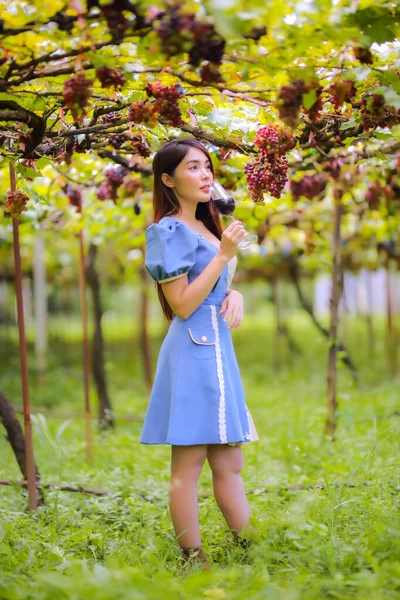 Wanita Cantik Menarik Gaya Rambut Panjang Minum Segelas Anggur Merah — Stok Foto