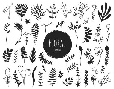 Elle çizilmiş çiçek öğeleri koleksiyonu