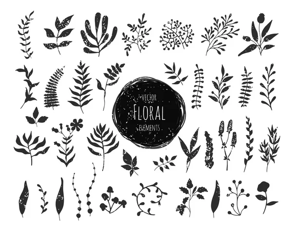 Collection of hand drawn floral elements — Stock Vector