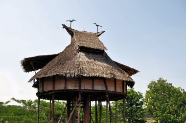 Batı Kalimantan, Endonezya geleneksel ev