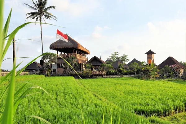 Hutten in rijstvelden in de buurt van Ubud, Bali, Indonesië — Stockfoto