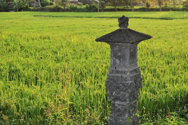 Schrein in Reisfeldern bei Ubud, Bali, Indonesien — Stockfoto