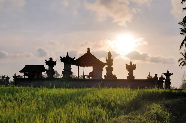 Ναός στην καλλιέργεια ρυζιού, κοντά στην Ubud, Μπαλί, Ινδονησία — Φωτογραφία Αρχείου