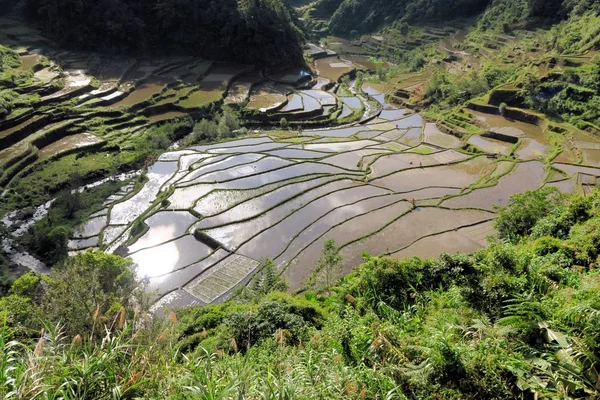 Terraços de arroz da UNESCO em Bangaan, Filipinas — Fotografia de Stock