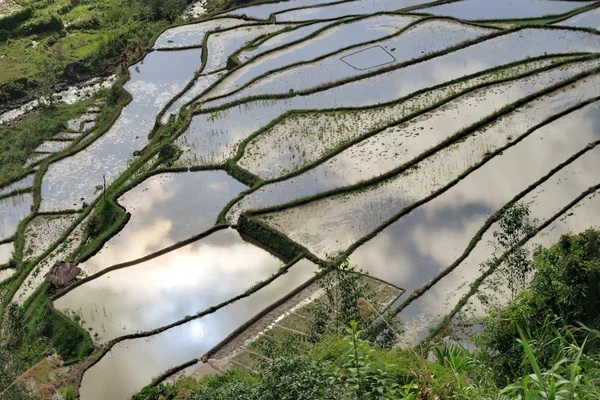 UNESCO pirinç terasları Bangaan, Filipinler — Stok fotoğraf