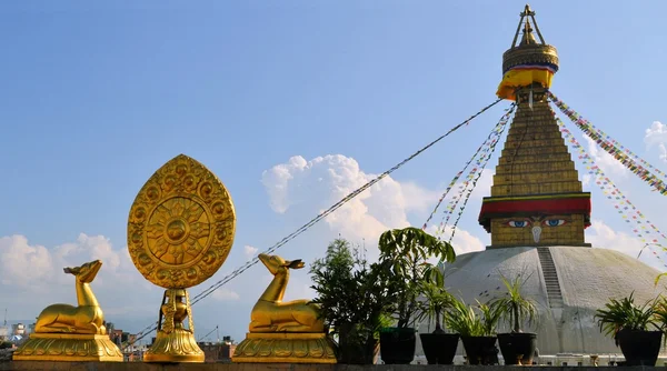Buddhistiska ratten i liv med Boudhanath Stupa — Stockfoto