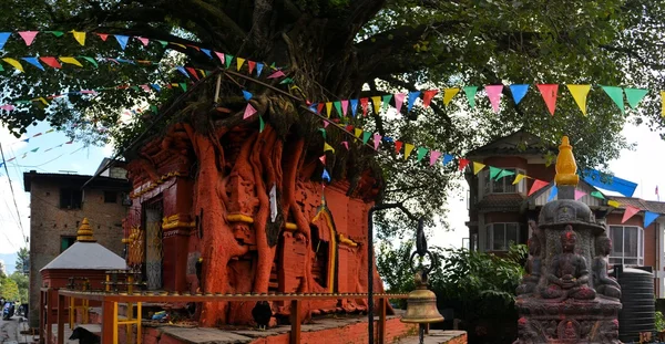 カトマンズ、ネパールではヒンドゥー教の木神社 — ストック写真
