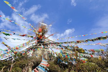 Maymun Tapınağı Tibetli Budist dua bayrakları ile