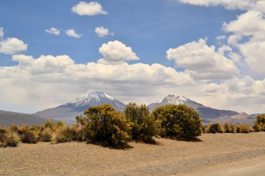 Volcano in Sajama National Park, Andes, Bolivia clipart