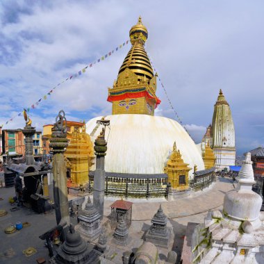 Budist maymun Tapınağı stupa Kathmandu