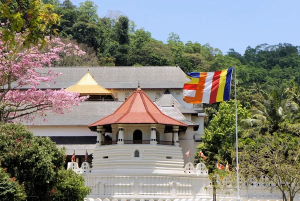 Buddyjska świątynia zęba, Kandy, Sri Lanka — Zdjęcie stockowe