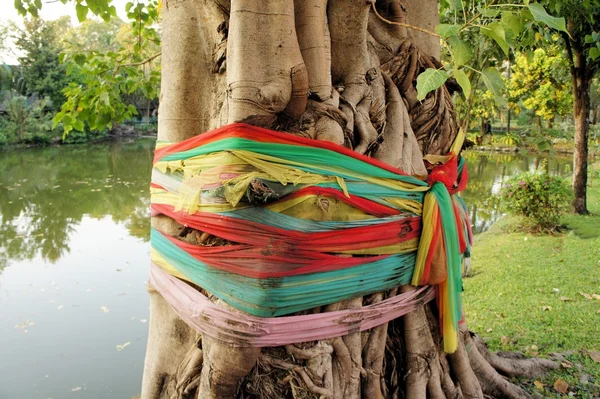 Banderas de oración budista tibetana alrededor del árbol —  Fotos de Stock