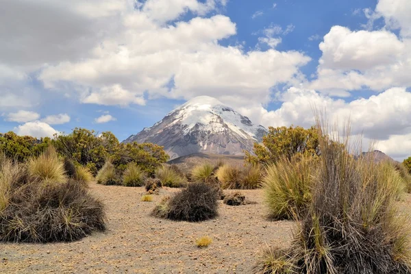 Vulcão no Parque Nacional do Sajama, Andes, Bolívia — Fotografia de Stock