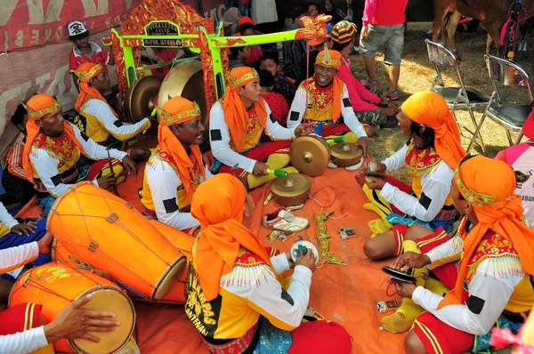 Traditionell musik Madura Bull Race, Indonesien — Stockfoto