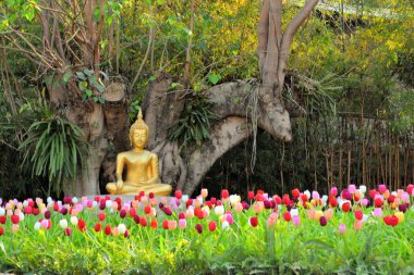 Buda çiçekler arasında meditasyon