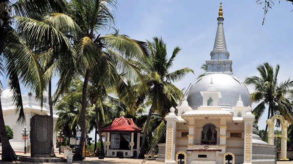 Buddhistická stúpa pod palmami, Srí Lanka — Stock fotografie