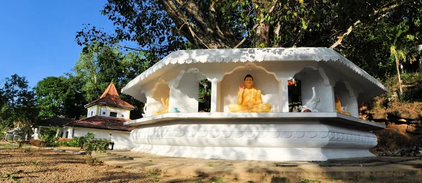 Árvore Bodhi em frente ao templo budista, Ella, Sri Lanka — Fotografia de Stock