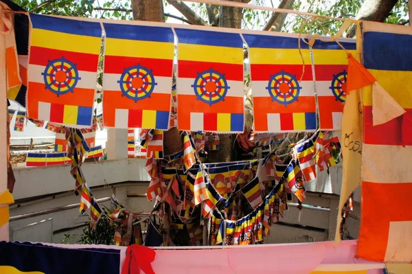 Buddhist flags around a tree in Kandy, Sri Lanka — Stock Photo, Image