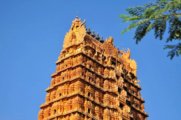 Nainativu Nagapooshani Ammánu chrám Jaffna, Srí Lanka — Stock fotografie