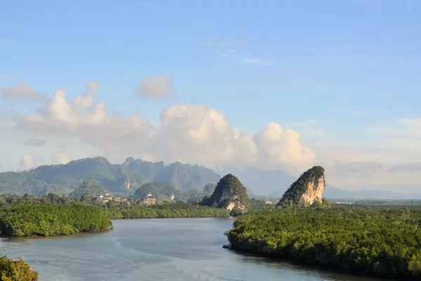 Tropisk flod og mangrove i Krabi, Thailand - Stock-foto