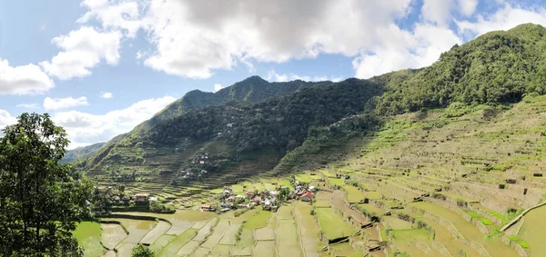 Terraços de arroz da UNESCO em Batad, Filipinas — Fotografia de Stock