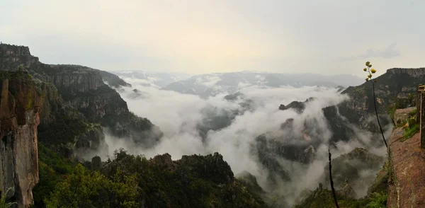 Copper Canyon w północnym Meksyku — Zdjęcie stockowe