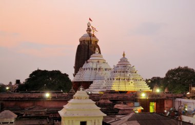 Puri, Orissa, Hindistan 'daki Jagannath Tapınağı.