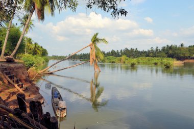 Ağaç ve Laos Mekong Nehri'nin güzel doğa