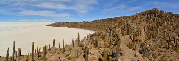 Cactus Island Incahuasi in Uyuni Salt Flats — Stock Photo, Image