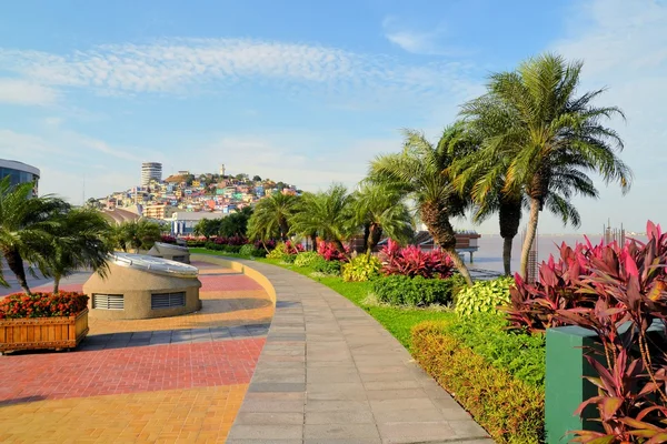 Seaside Malecon 2000 walkway with Santa Ana Hill, Ecuador — Stock Photo, Image