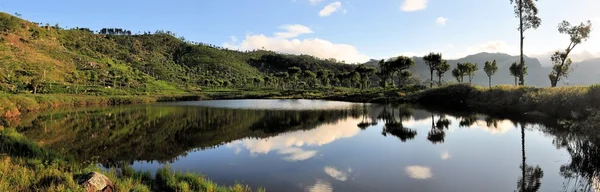 Te odlingar vid soluppgången med reflektion i sjön — Stockfoto