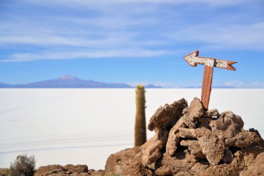 Kaktüs Adası Incahuasi Uyuni tuz daireler içinde