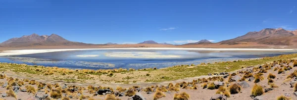 Flamingos no lago na parte sul da Bolívia — Fotografia de Stock