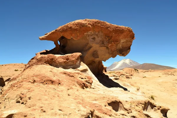 Pietra albero formazione rocciosa nel deserto — Foto Stock