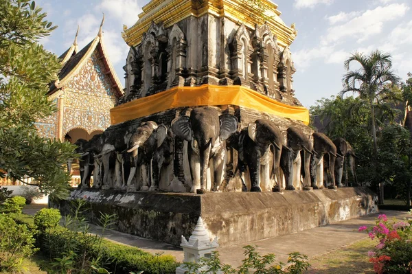 Elefanti al tempio buddista di Chiang Mai, Thailandia . — Foto Stock