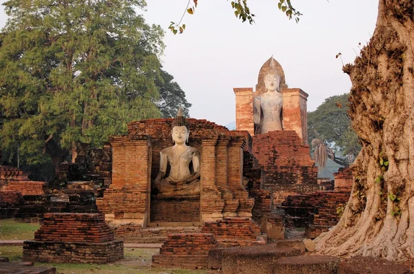 Estátua de buddha antiga. Parque Histórico de Sukhothai — Fotografia de Stock
