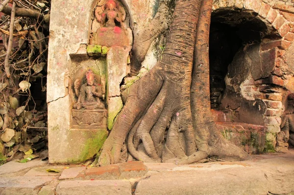 Hindu Tree shrine in Kathmandu, Nepal — Stock Photo, Image