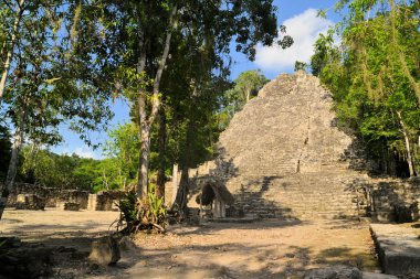 Ormanda, Coba, Yucatan, Meksika Maya piramit kalıntıları